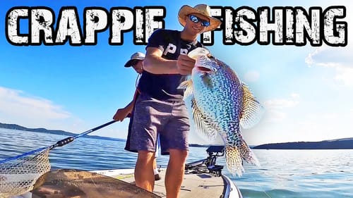 Fishing for BIG CRAPPIE in the FALL!🐟(Channel Drops and Brush Piles!)