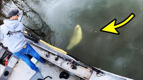 14 LB FISH OF A LIFETIME!!!