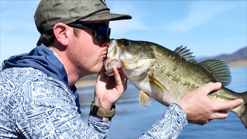 SPAWNING BASS TIME! 3 Fish Mexico Night Tournament