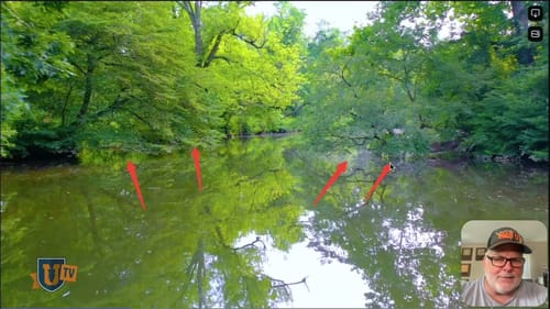 Shoreline Trees: Best Places to Catch Largemouth Bass