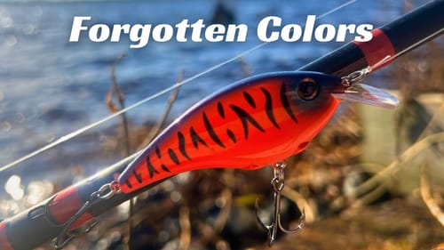 Don’t Sleep On These Forgotten Colors!