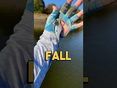 Crankbait Fishing Tips for Catching More Fish in the Fall #fishing