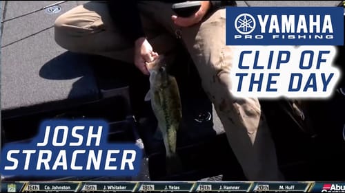 Yamaha Clip of the Day: Stracner's flurry into contention