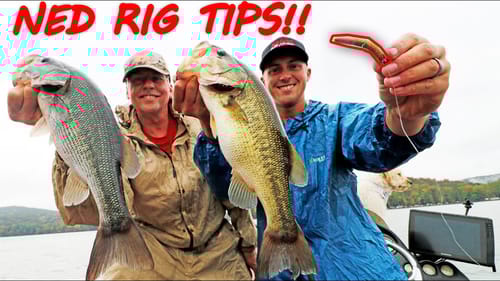 NED RIG FISHING TIPS! Best Lure For FINICKY BASS! (LOSER EATS TRD)