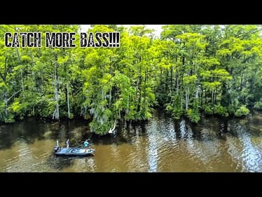 FLIP TREES To CATCH More BIG BASS!!! || Bass Fishing 101