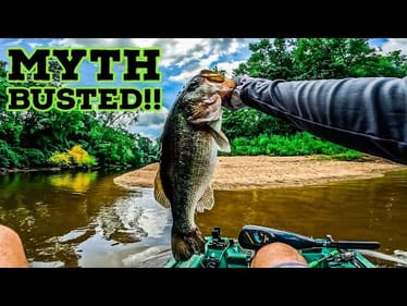 CRUSHING TOPWATER BASS!! || Bananas on Board!