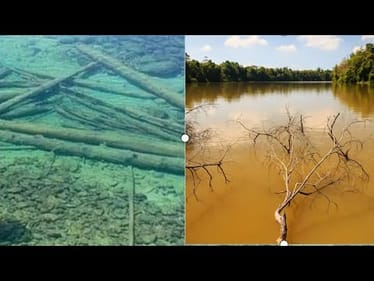 What Most Anglers DON’T Know About How Water Clarity Affects Bass…