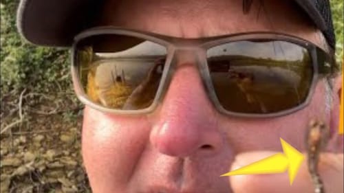Best Kept Summer Bass Fishing Secret…The Mayfly Hatch…