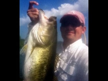 11 Pound 5 oz Bass. Drop Shot Bass Fishing with 8 lb Test Line.