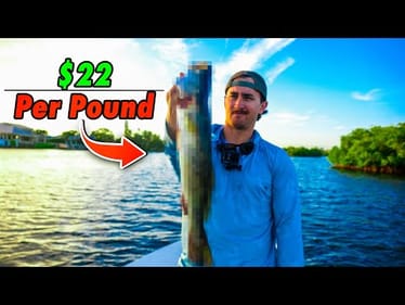 Catching Expensive Fish to Feed a Family