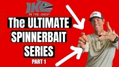 The Ultimate Spinnerbait Series (Part 1)