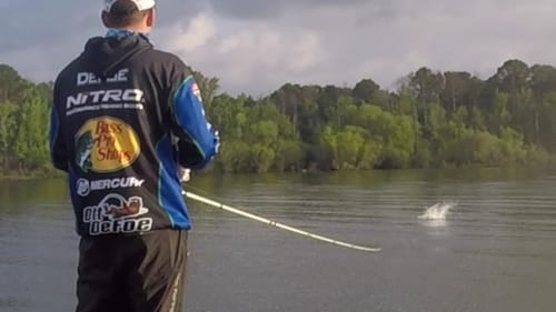 Awesome topwater bite on Sam Rayburn