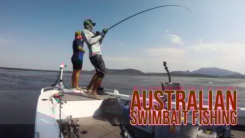 1st Barramundi on the Defiant 210 Light Trout Swimbait