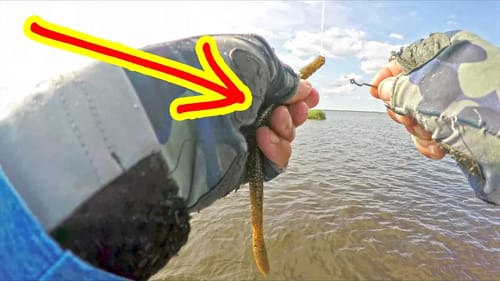 The Most HATED RIG in FISHING