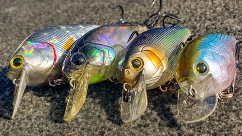 Squarebill Crankbait Tricks You Haven't Tried (But Your Friends Have!)