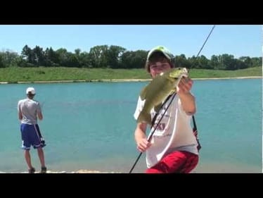 Topwater Smallie Exploision/Plus 6in Swimbaits Smallie