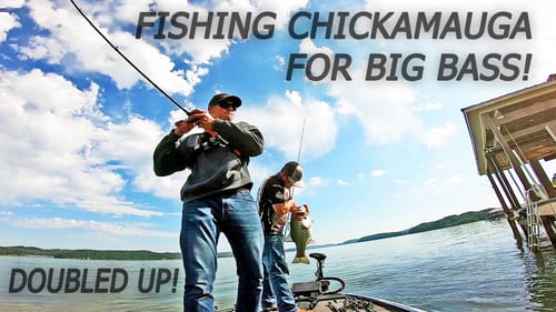 Fishing for MONSTER BASS On LAKE CHICKAMAUGA! (GIANTS LIVE HERE)