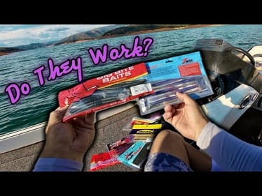Top 10 Neko Rig Worms Compared | Big Bite, Z-Man & More | Lake Oroville Fishing