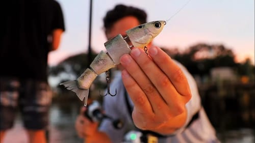 The Most Expensive Lure I've Ever Purchased