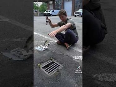 Catching fish out of Parking Lot Storm Drain?? #fishing #urbanfishing #bass