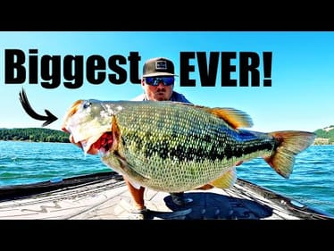 The World Record Chase is OVER!!! --My PB Bass hits the Deck!