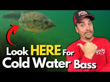 Don’t OVERLOOK This Easy Spot to FIND Cold Water Bass