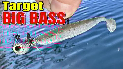 Target The BIGGEST Bass in February With This