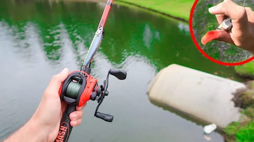 Topwater Fishing GONE WRONG.. I'm HOOKED.. (Bank Fishing)