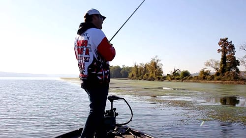 Grass Class | Bait Choices