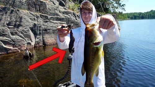 What Did This BASS EAT?!! (Bass Opener Ontario)
