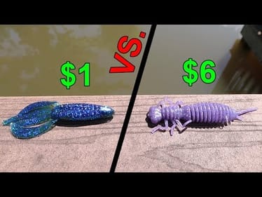 Cheap Craw VS. Expensive Craw -- Fishing CHALLENGE