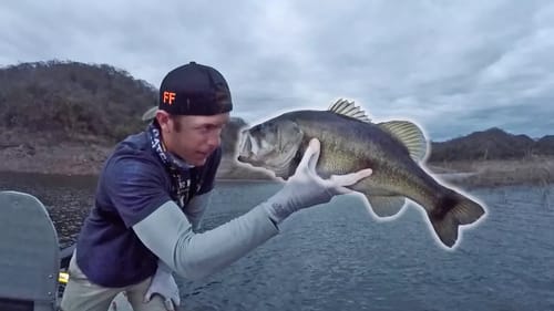 These Fish are AMAZING! Comedero Bass Fishing pt. 4