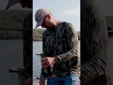 Perfect for a HOOK in the HAND!