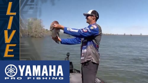 Yamaha Clip of the Day: Palmer's major upgrade