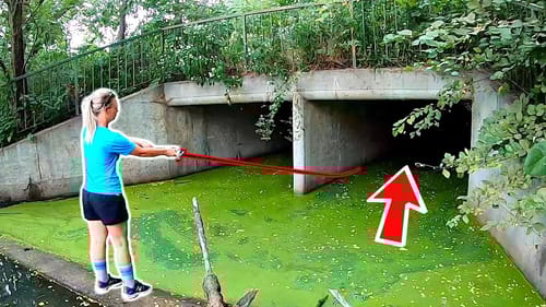 WE HOOKED the SWAMP MONSTER!!! (Unexpected Ending)