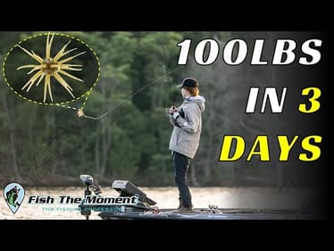 Every Bass He Caught On This Bait Was 5lbs or Bigger!