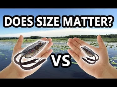 Do Fish Prefer a BIG or SMALL Frog? Fishing a LIVETARGET Hollow Body