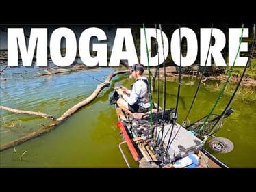 This Lake is COVERED in Laydowns (Perfect for Bass!)