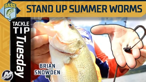 Stand up your Worms in the Summer! (Brian Snowden's favorite big worm)
