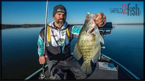 The Case for Catch and Release in Crappie Fishing