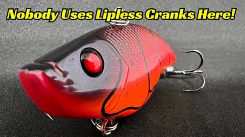 Don’t Under Estimate Where To Fish Lipless Crankbaits! These Unconventional Locations Are Great!