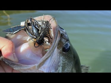 Summer Cold Fronts: How to Catch Bass When the Bite Gets Brutal | Bass Fishing