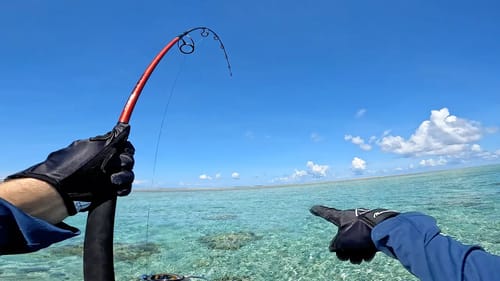 Sight Casting Really BIG Fish