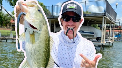 Summer Bass Fishing with Big Worms! ( Dock Fishing Pattern )