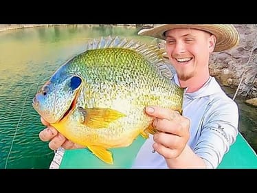 Fishing for the BIGGEST BLUEGILL EVER?! (INSANE)