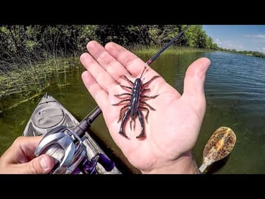 Fishing Japanese Bug Plastics