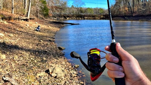 Bank Fishing for My LUNCH