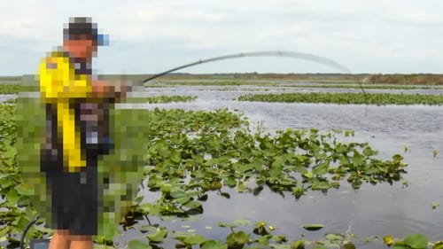 LEAKED Topwater Frog Bass Fishing Tips
