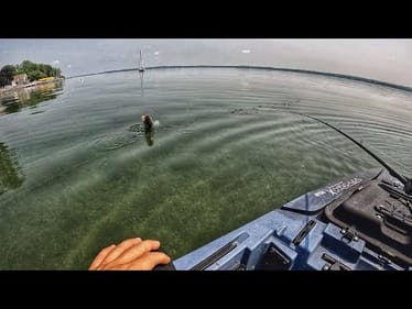 Shallow + Clear water = BIG Bass