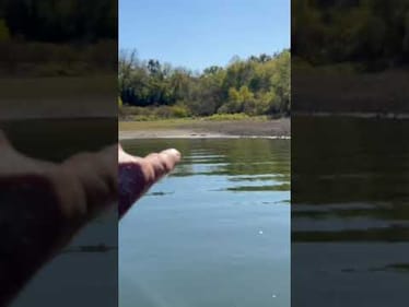 Super Shallow Bass